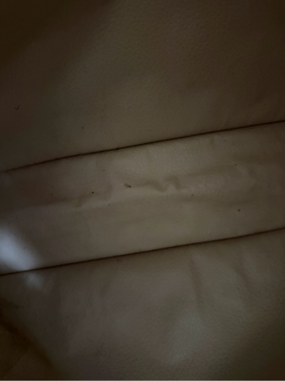 Louis Vuitton Monogram Sac Plat Canvas Tote in Brown - Picture 10 of 15